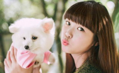 小姐姐和狗的壁纸热门图,小姐姐与狗狗壁纸热门图集锦