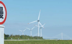 网红丁坝拍照,打卡拍照，探寻城市新地标