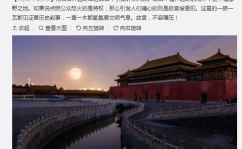 撒欢网红故宫,撒欢网红带你领略古都魅力